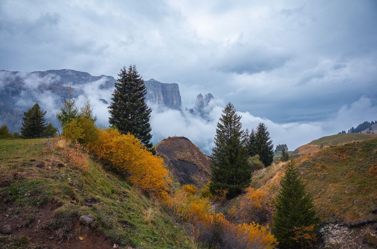 Schlern und Santnerspitze im Hintergrund
